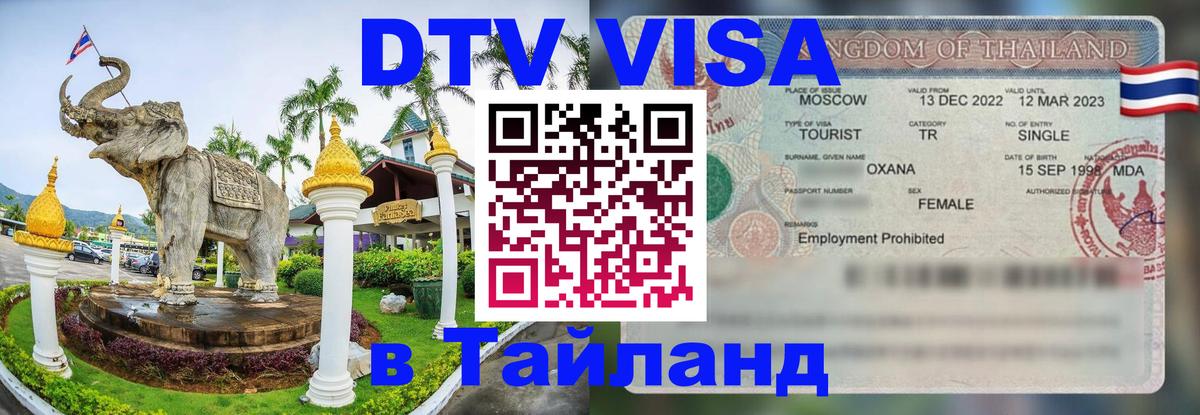 Сколько стоит DTV виза — актуальные цены, оформление даже без документов - Благовещенск  20.11.2025 